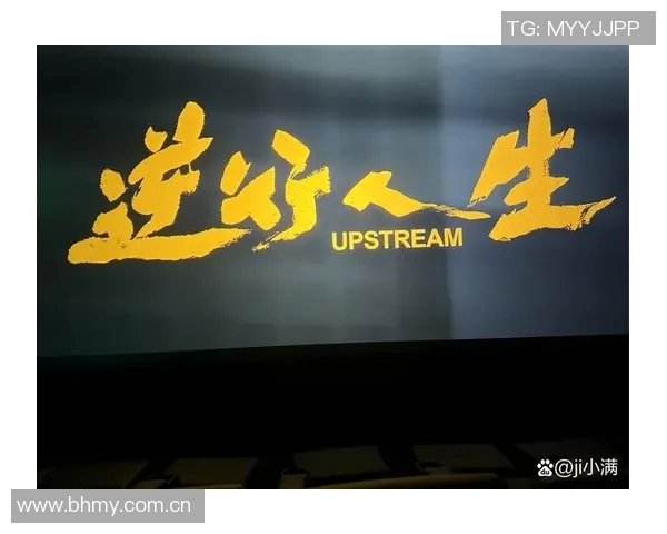 焦泊乔：从平凡到卓越的奋斗历程与人生启示