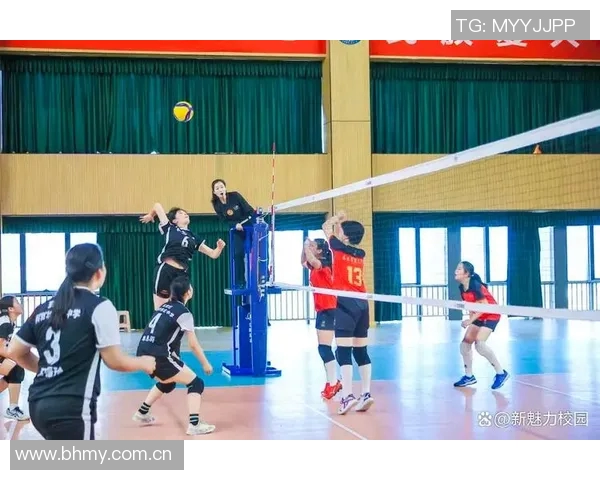 南京排球队实力分析与发展潜力探讨聚焦排球运动的未来之路