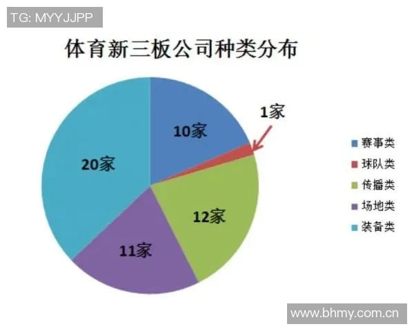 成都极限运动团队协作能力提升显著创新高引领行业发展新趋势