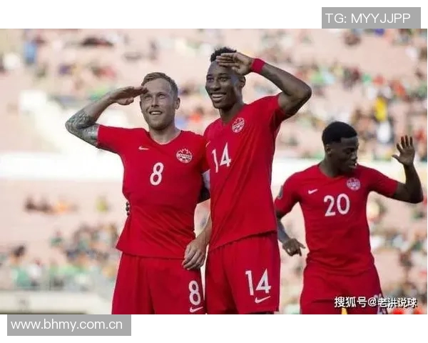 法国与威尔士精彩对决录像回放分析与精彩瞬间集锦